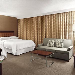 2 Queen Sofa bed Deluxe Guest room